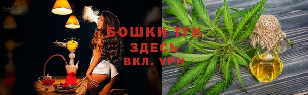 гидропоника Бородино