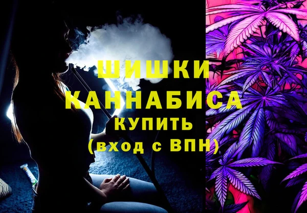 гидропоника Бородино