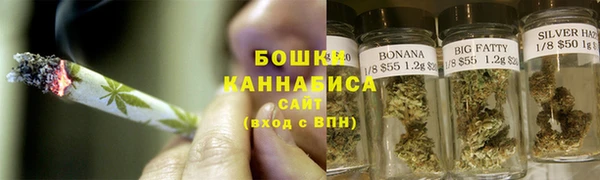 гидропоника Бородино