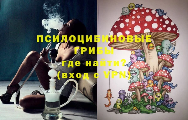 гидропоника Бородино