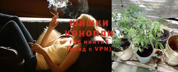 гидропоника Бородино